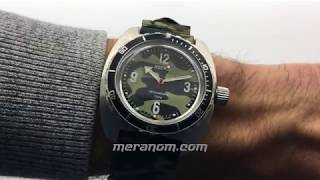 Vostok Amphibia 150B30 [upl. by Aihsile]