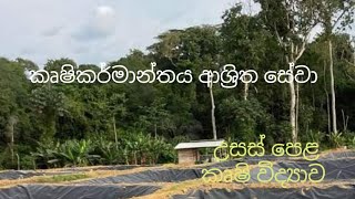 කෘෂිකර්මාන්‍තය ආශ්‍රිත සේවා  Agricultural Science for Advance Level Examination Sinhala medium [upl. by Ludly]