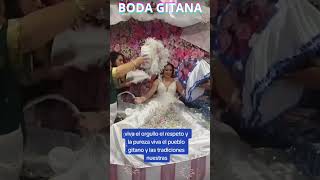 BODA GITANA VIVA LOS NOVIOS 9 [upl. by Novihc957]