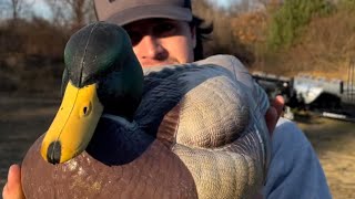 HEYDAY DECOYS ARE INDESTRUCTIBLE [upl. by Lezley743]