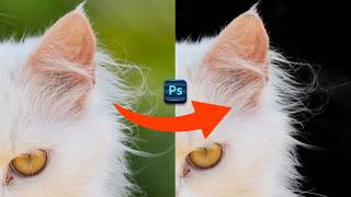 Quick Way to Remove Complex Background in Photoshop 2024 [upl. by Leva356]