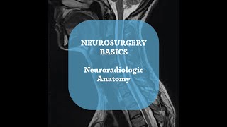 Neurosurgery Basics Lecture  Neuroradiologic Anatomy Part 2 [upl. by Cappella376]