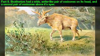 21 Facts about Sivatherium [upl. by Kally]