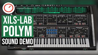 XILS Lab PolyM Sound Demo  Moog Polymoog Emulation For PC amp Mac [upl. by Imotih855]