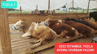 2022 KURBAN FİYATLARI  İSTANBUL TUZLA AYDINLI KURBAN PAZARI 1  CANLI KG 6575 [upl. by Yenruoc]