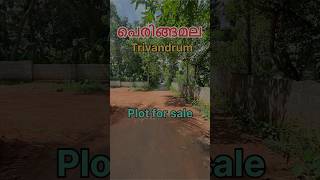 Plot for sale near Peringammala Trivandrum trivandrum realestatekerala plot plotforsale plots [upl. by Enelram]