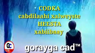 Cabdilaahi xalweyste hees xabiibaay original song [upl. by Annairt]