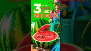 Grow Watermelons in 3 Easy Steps [upl. by Artamas630]