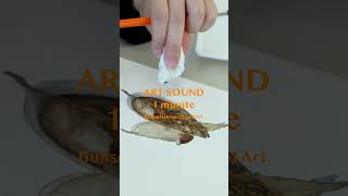 ART SOUND1 minute [upl. by Dhiren]