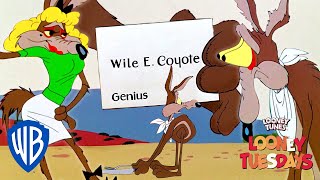 Looney Tuesdays  The Best Or Worst of Wile E Coyote  Looney Tunes  WB Kids [upl. by Nwahsud]