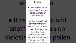 What are angiosperms Class 11 Biology Chapter 3 [upl. by Hsepid]