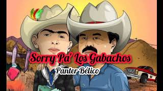 quotSorry Pa Los Gabachosquot  Panter Bélico Audio Oficial [upl. by Andryc680]