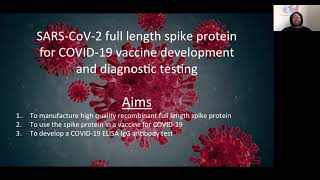 SARS CoV 2 Full Length Spike Protein for COVID 19 Vaccine Development and Diagnostic Testing [upl. by Acino395]