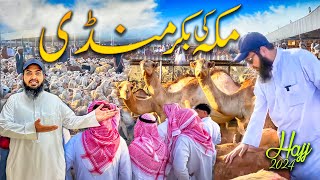 Makkah ki bakra Mandi hajj season 2024  Latest hajj 2024 updates [upl. by Benni739]