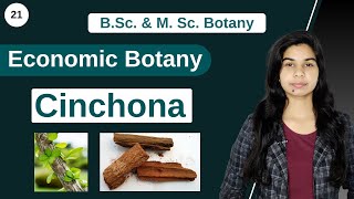 Economic Botany  Medicinal Plants  Cinchona  B Sc amp M Sc [upl. by Carey]