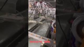 Automatic production line surimi carb roe fish ball making machine [upl. by Anillek]