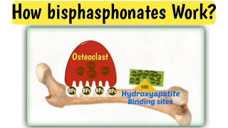 Mechanism action of bisphasphonates  How bisphasphonates work  Doctors goal [upl. by Einiffit862]