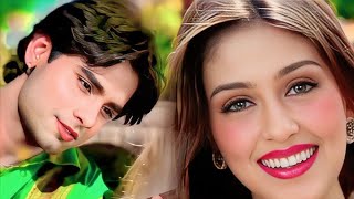 Chand Tare Phool Shabnam  Tumse Achcha Kaun Hai  Nakul Kapoor  90s Best Romantic Songs [upl. by Eugilegna375]