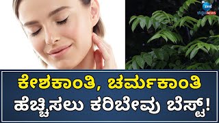 Benefits Of Curry Leaves  Healthy Skin  Good Life  ಹಸಿ ಕರಿಬೇವು ತಿನ್ನುವುದರಿಂದ ಪ್ರಯೋಜನಗಳೇನು [upl. by Nagy18]