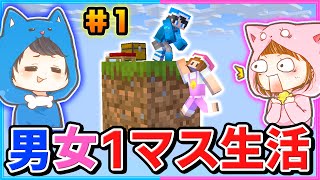 危険！空に浮かぶ１マスだけでサバイバルをするマインクラフト＃１【マイクラ】【１マスMOD】 [upl. by Sisco]