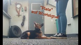 quotPlatzquot auf Wortkommando [upl. by Cirded]