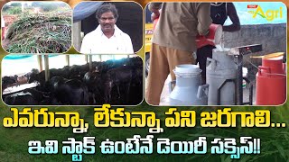 Murrah Buffalo Dairy  ఎవరున్నా లేకున్నా పని జరగాలి ఇవి స్టాక్ ఉంటేనే డెయిరీ సక్సెస్ Tone Agri [upl. by Ahsiekahs11]