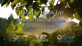 Balance Hook Up [upl. by Ecirtram]