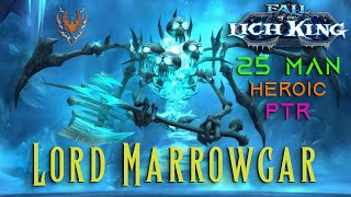 Lord Marrowgar  PTR  Heroic  92k DPS  Ret Paladin  332  ICC 25  WotLK Classic [upl. by Nilyam]