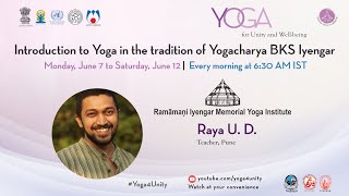 130 Yoga class by BKS Iyengar school Class 1 Yoga for Unity and Wellbeing  Heartfulness [upl. by Onailimixam]