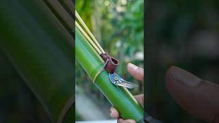 Bamboo creations withNew Bamboo Idea Bamboo Diy Bambooart Slingshots [upl. by Audi284]