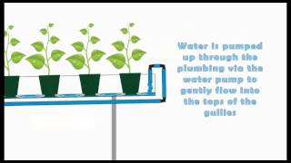 Hydroponic  NFT systems basic run down Nutrient Film Technique [upl. by Olemrac]