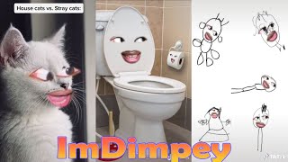 Try Not To Laugh Challenge Funny ImDimpey TikTok Videos of 2022 All Of ImDimpey Videos [upl. by Aciraj]