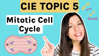 Mitosis and the Cell Cycle  Entire topic CIE Alevel Biology Topic 5 [upl. by Harihat]