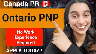 Ontario PNP  Canada PR 🇨🇦  OINP International Student Stream [upl. by Adnoral]