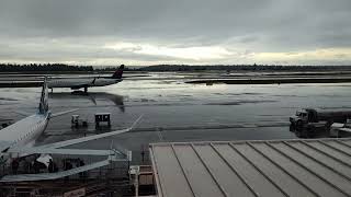 Plane spotting in SEA C Alaska Lounge wx induced runway switch part 1 [upl. by Amelina]