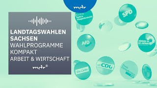 Arbeit amp Wirtschaft – Das planen Sachsens Parteien  Podcast Wahlprogramme kompakt  MDR [upl. by Rozina]