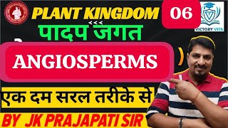 11 biology chapter 3 plant kingdom  angiosperms class 11 by jk prajapati sir [upl. by Ellehcor651]