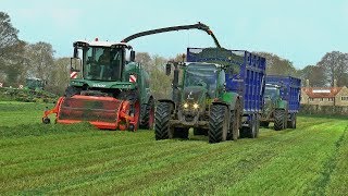 Chandlers Silaging 2019 [upl. by Reinald]