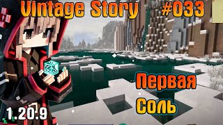 Первая соль  Vintage Story 32 [upl. by Monjan]