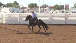 Terry Erickson  BFR Genuinely Irish  URCHA Open Futurity [upl. by Clement]