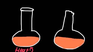 Theory of Spontaneous generation  Abiogenesis and Biogenesis [upl. by Airlie]