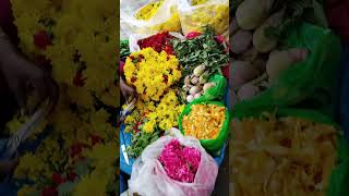 bangalore vlogs malleshwaram street market [upl. by Isnyl]