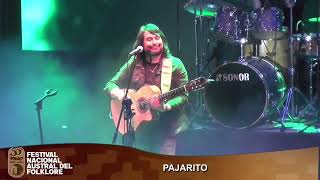 Pajarito  Canta Cardenal en vivo Festival Nacional Austral del Folklore [upl. by Susejedesoj]