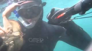 Spearfishing trip to Saltstraumen 2011 [upl. by Aihtekal611]