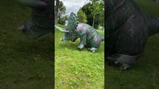 Instructions for wearing the Triceratops inflatable costume dinosaur cos Godzilla [upl. by Yalc]