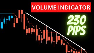 Volume Indicator MT4  230 Pips with this Volume Indicator Strategy [upl. by Alenoel]