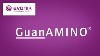 GuanAMINO® for Swine  Evonik [upl. by Gnihc]