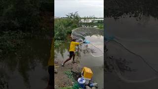 Awesome video fishingnet in the lake fishing traditional techniquethrownetfishing fishingtechnique [upl. by Tully]