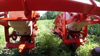 No Till Corn PlantingAllis Chalmers 2 row planter2nd Time is a charm [upl. by Ramah]