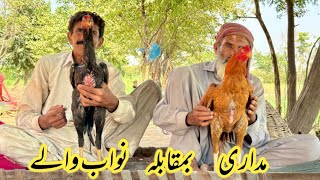 Nawab waly and Madari aseel story [upl. by Kubis]